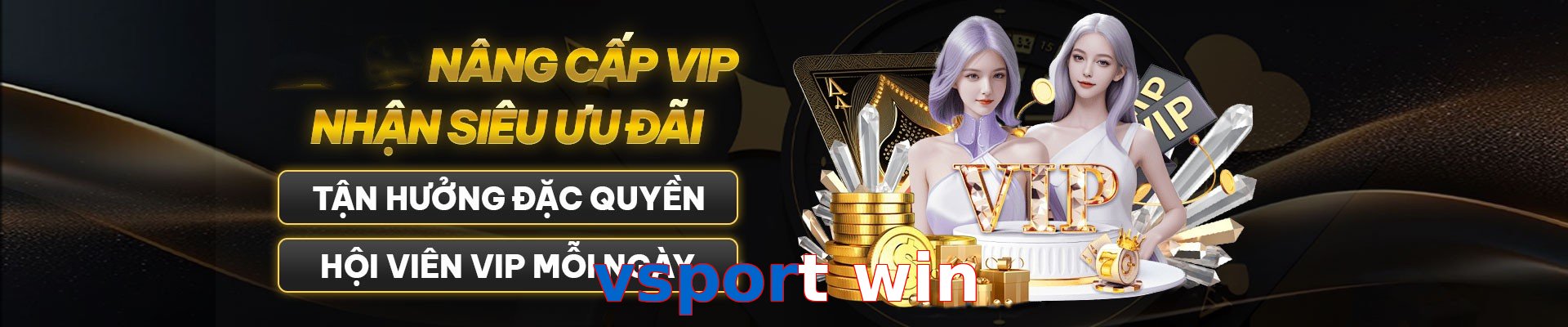 vsport win